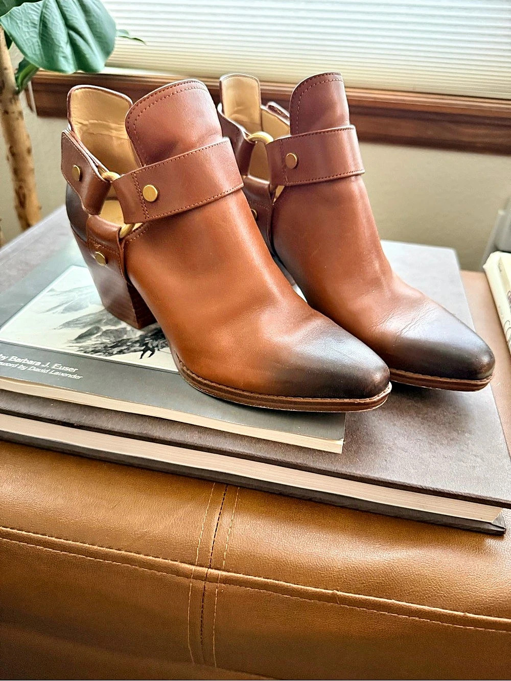 Michael Kors Women's Brown Ankle Boots